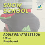1 Hour Adult Private Snowboard Lesson
