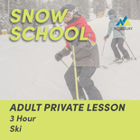 3 Hour Adult Private Ski Lesson