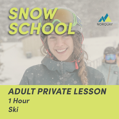1 Hour Adult Private Ski Lesson