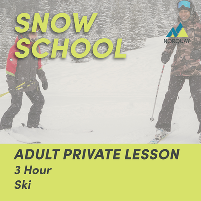 4 Hour Adult Private Ski Lesson